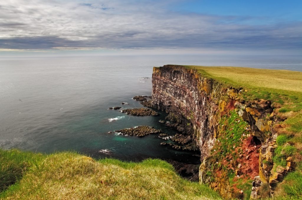 Cliff in Iceland - Latrabjarg