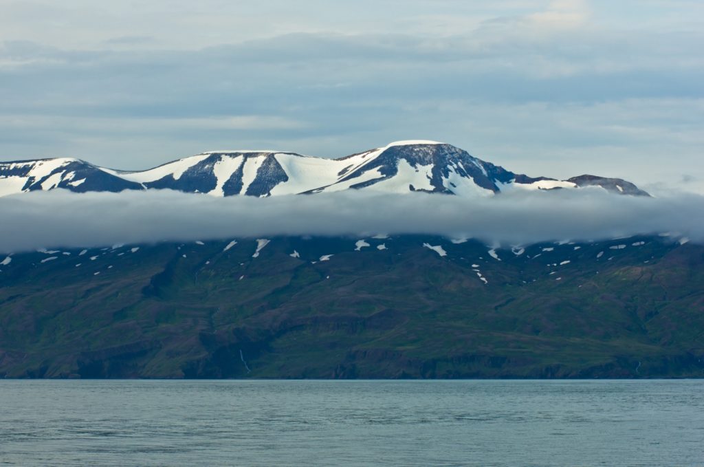 North coast of Iceland on the shores of Skjalfandi Shaky bay