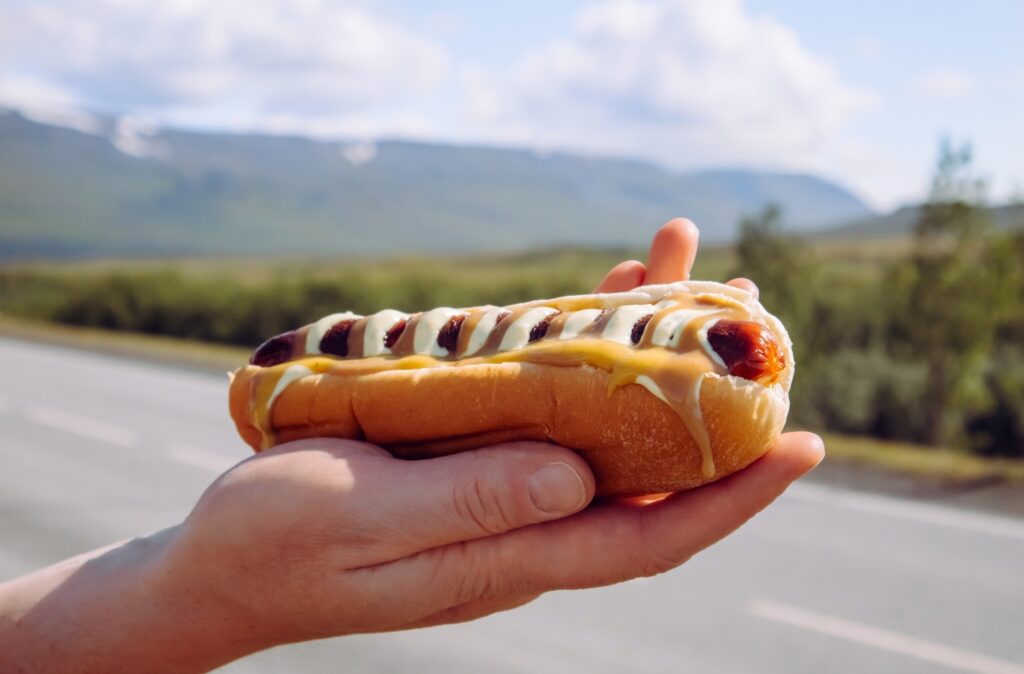 Man hand holding tasty local Icelandic food hot dog called pylsur outdoors in nature. Also called Pylsa or Pulsa
